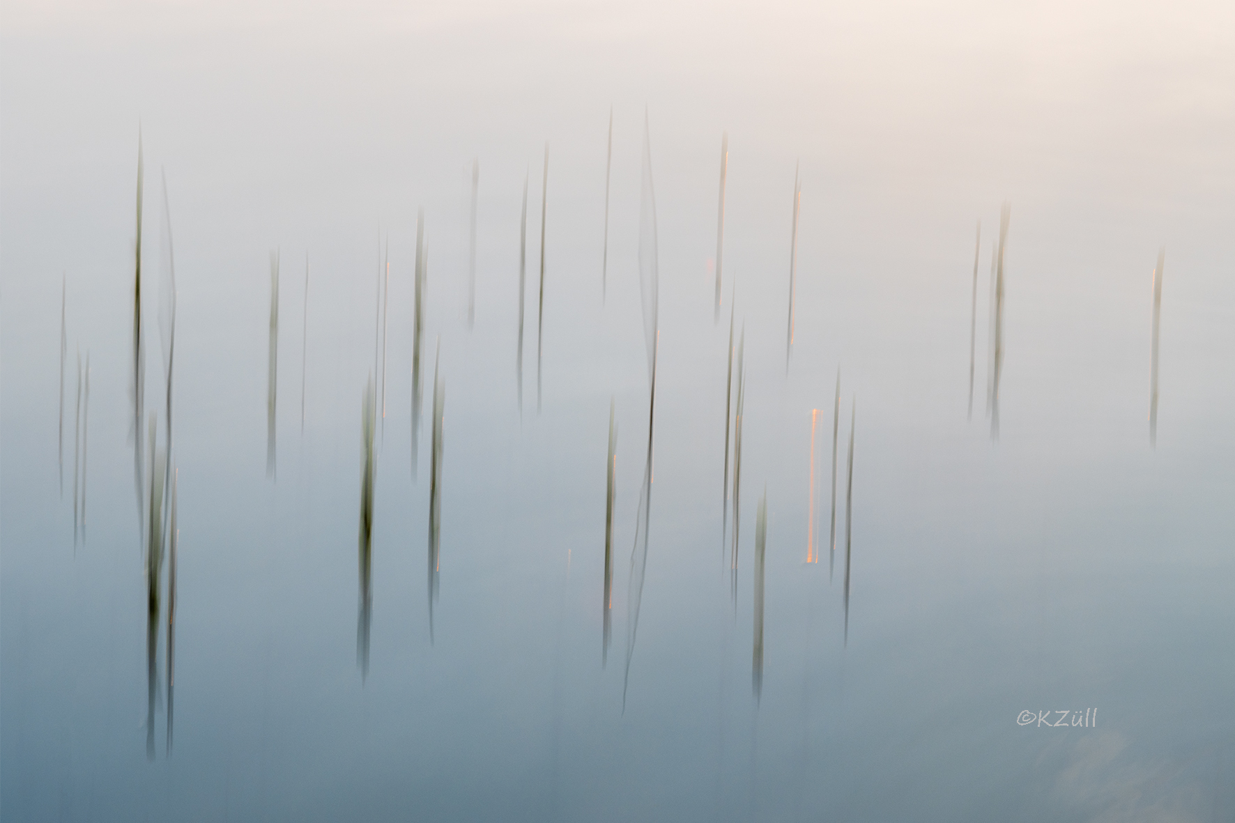 Zarte Gräser schauen aus dem Wasser