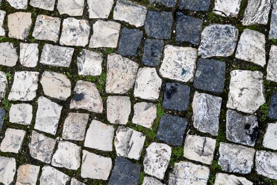 Ein ständigen Begleiter - Pflastersteine 